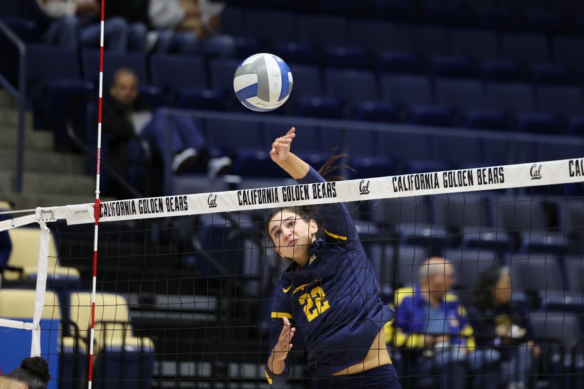 2024-11-15 VB: Cal Volleyball vs Virginia (Al Sermeno)