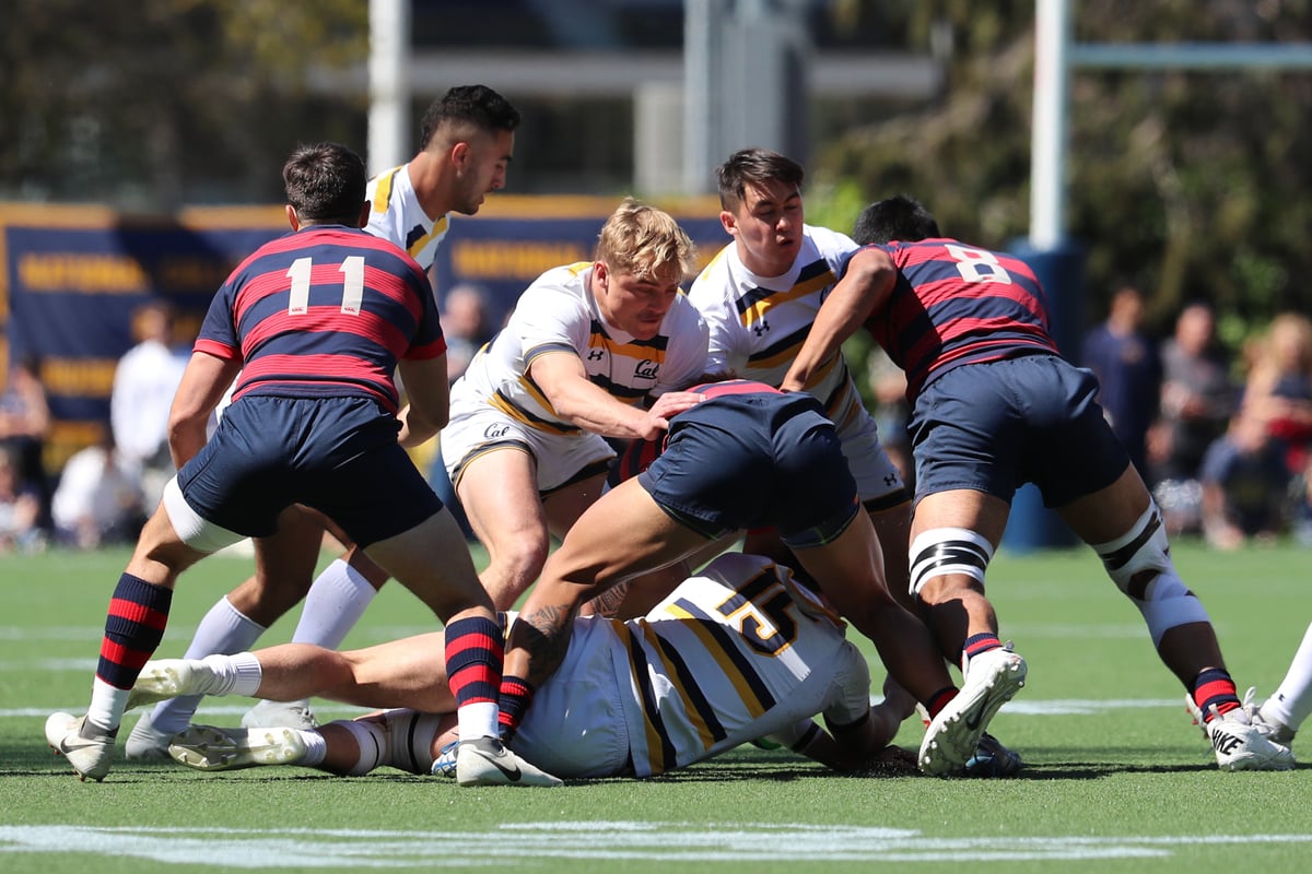 2019-03-30 RUGBY: Cal Rugby vs St. Mary's (Al Sermeno)