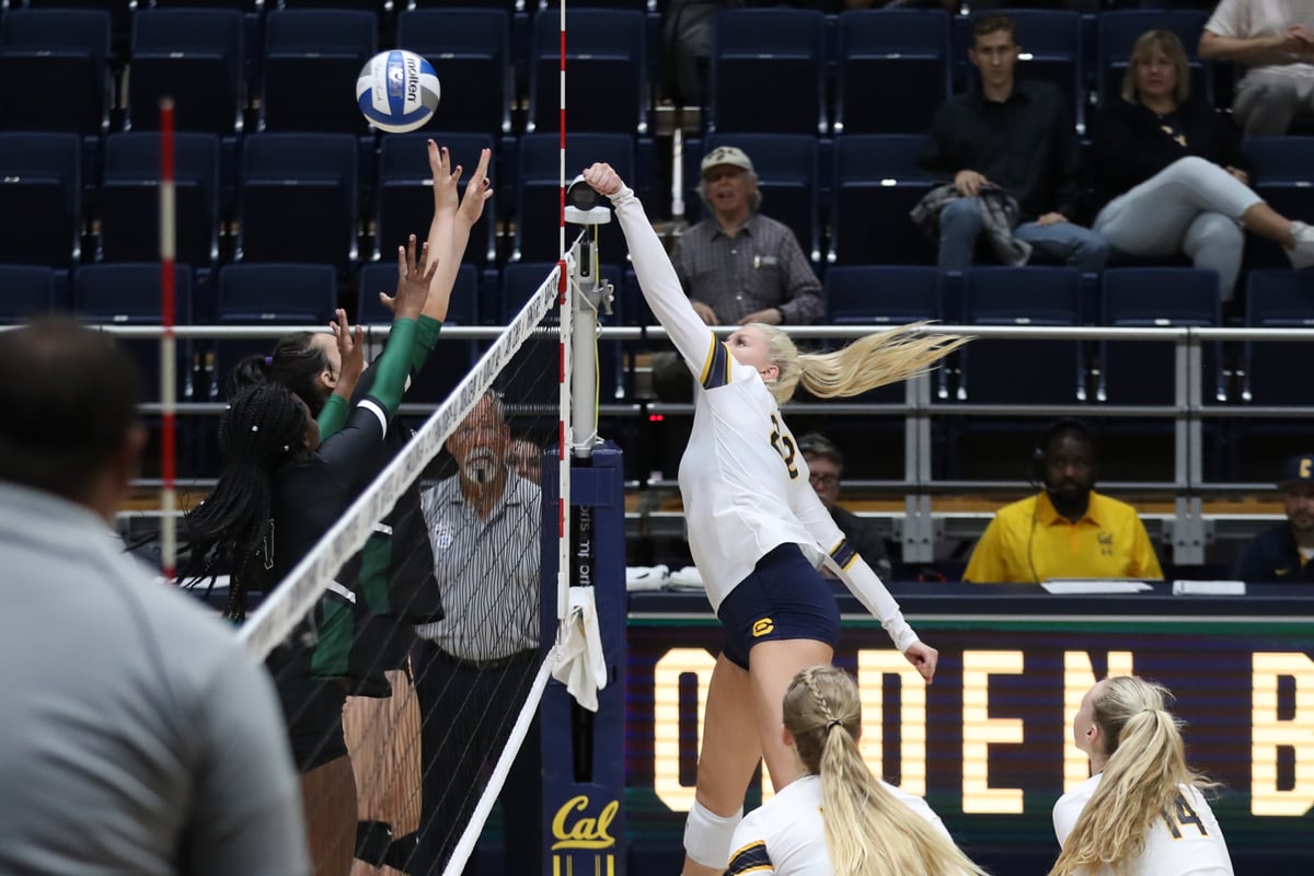 2018-08-24 VB: Cal Volleyball vs Chicago State (Al Sermeno)