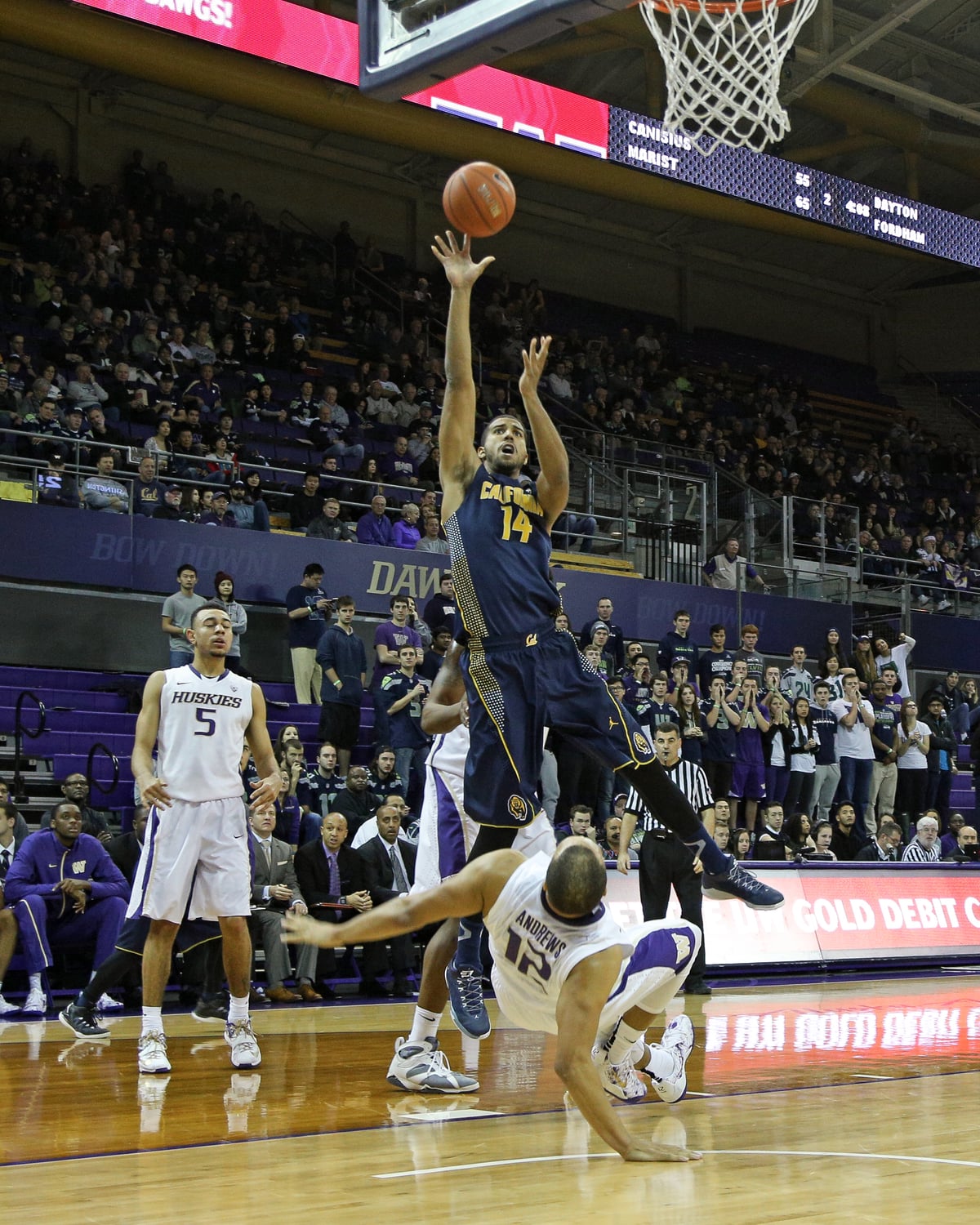 MBB: Cal Men's Basketball vs Washington