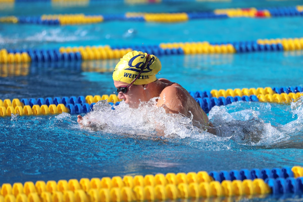 SWIM: Cal Swimming vs Arizona