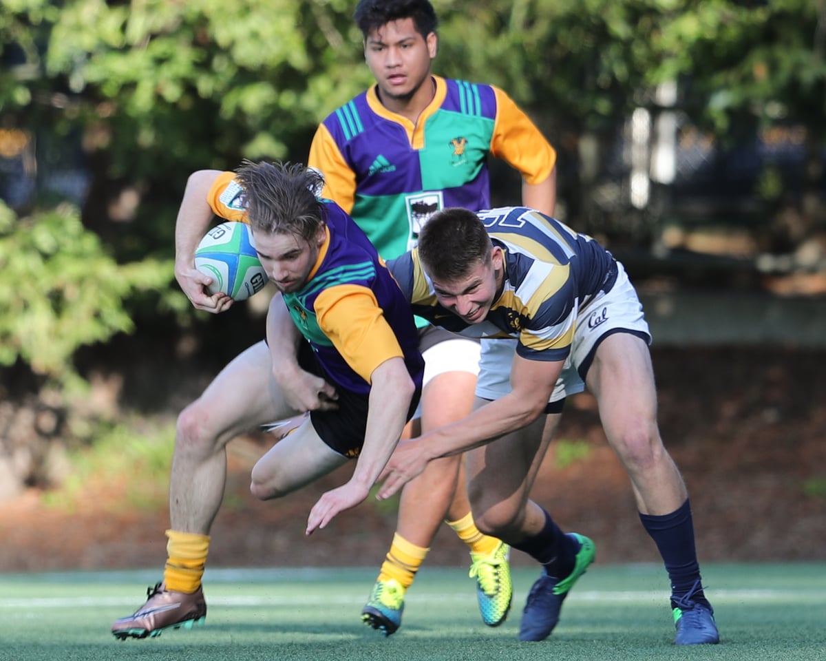 RUGBY: Cal Rugby vs Jester