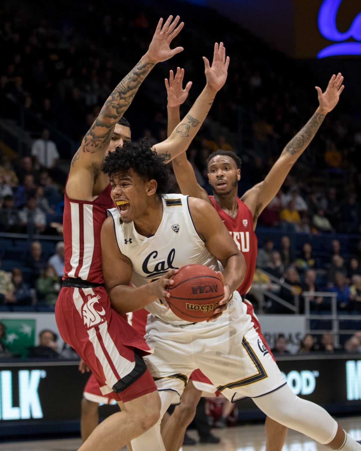 MBB: Cal Men's Basketball vs Washington State