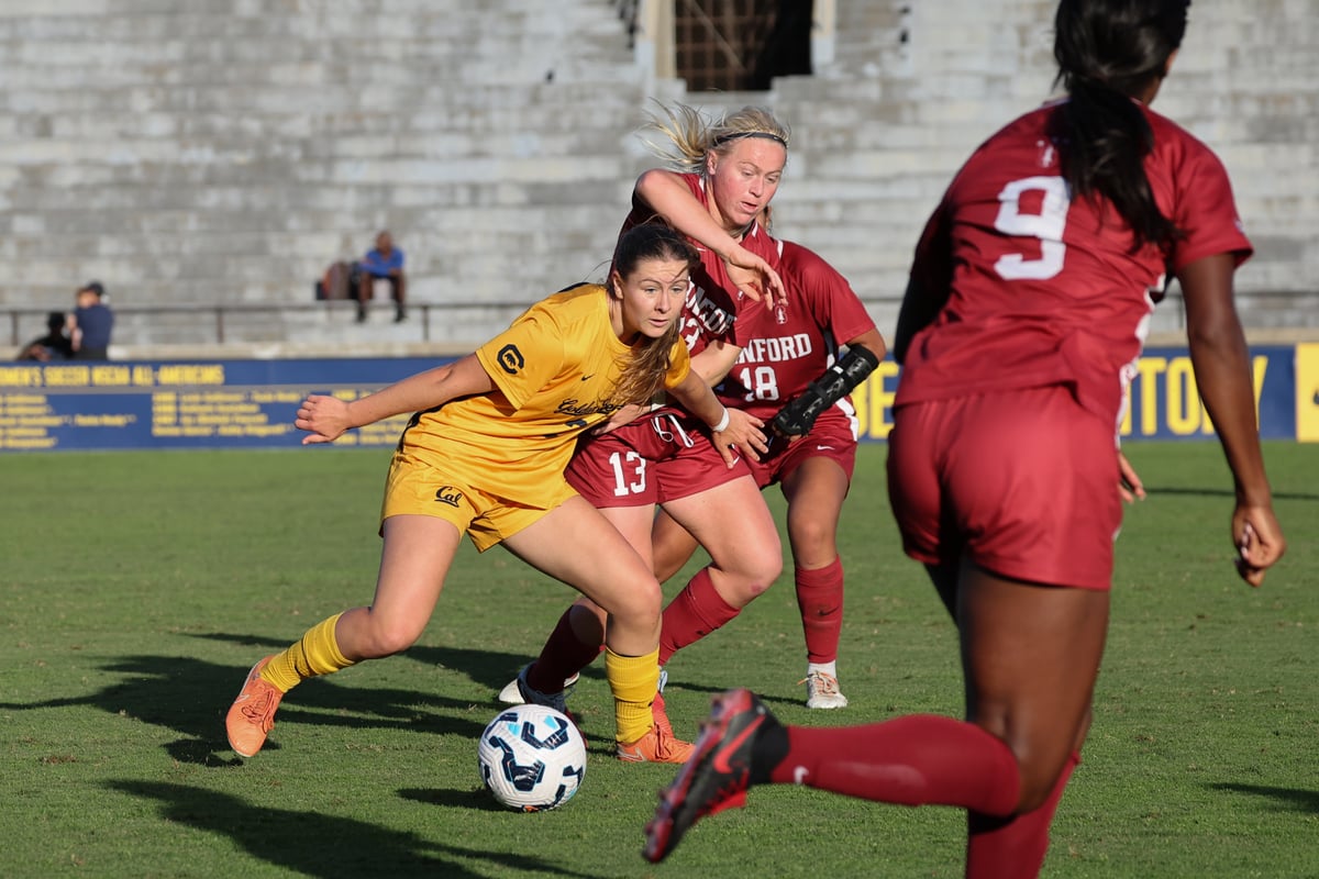 WSOC Demo